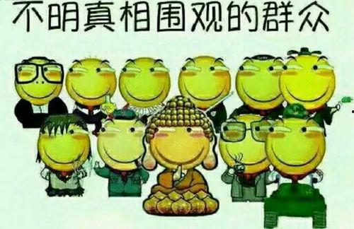 娱乐吃瓜文字游戏推荐,揭秘明星幕后那些事儿